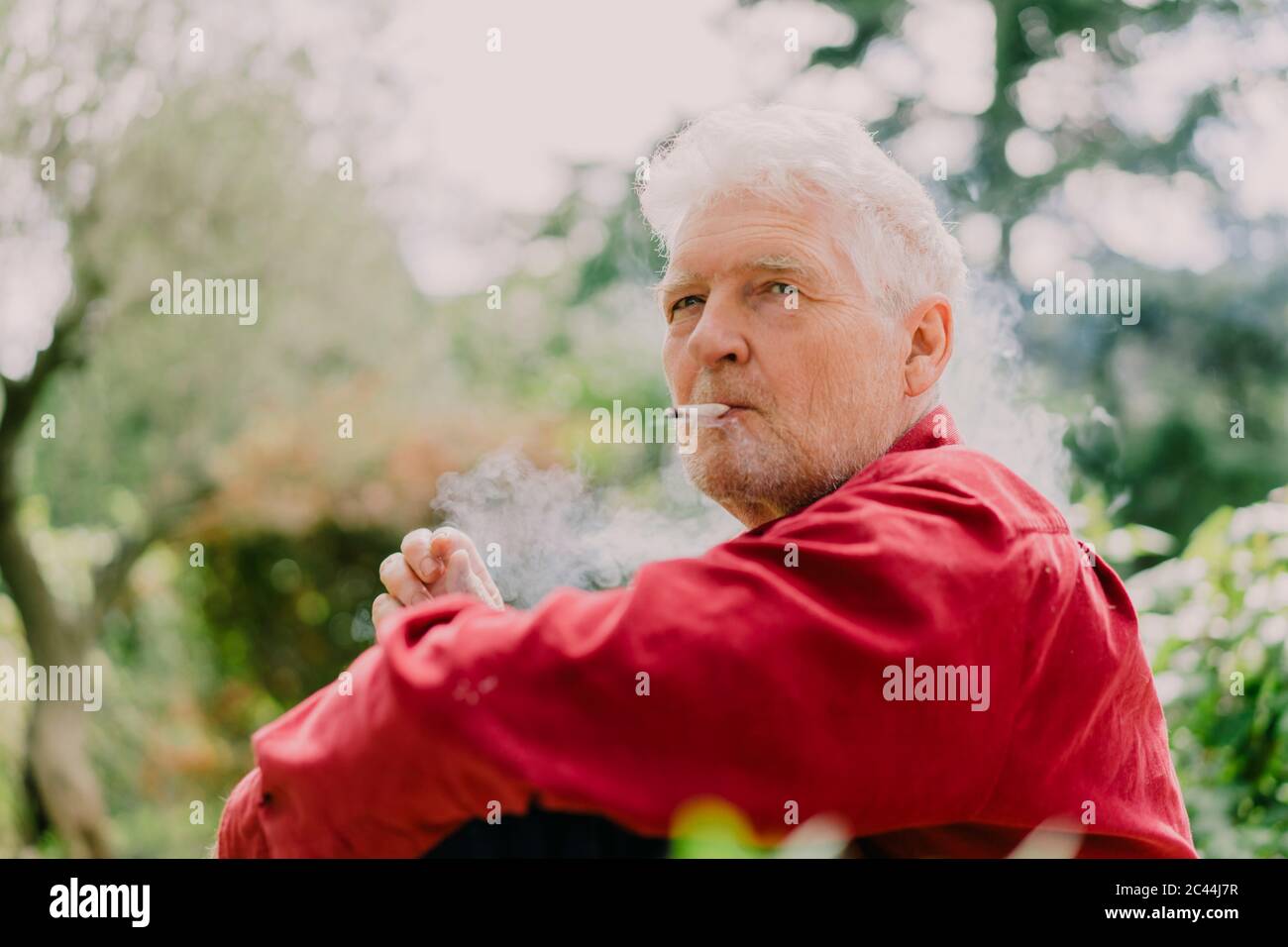 Rentner, der im Obstgarten Marihuana raucht Stockfoto