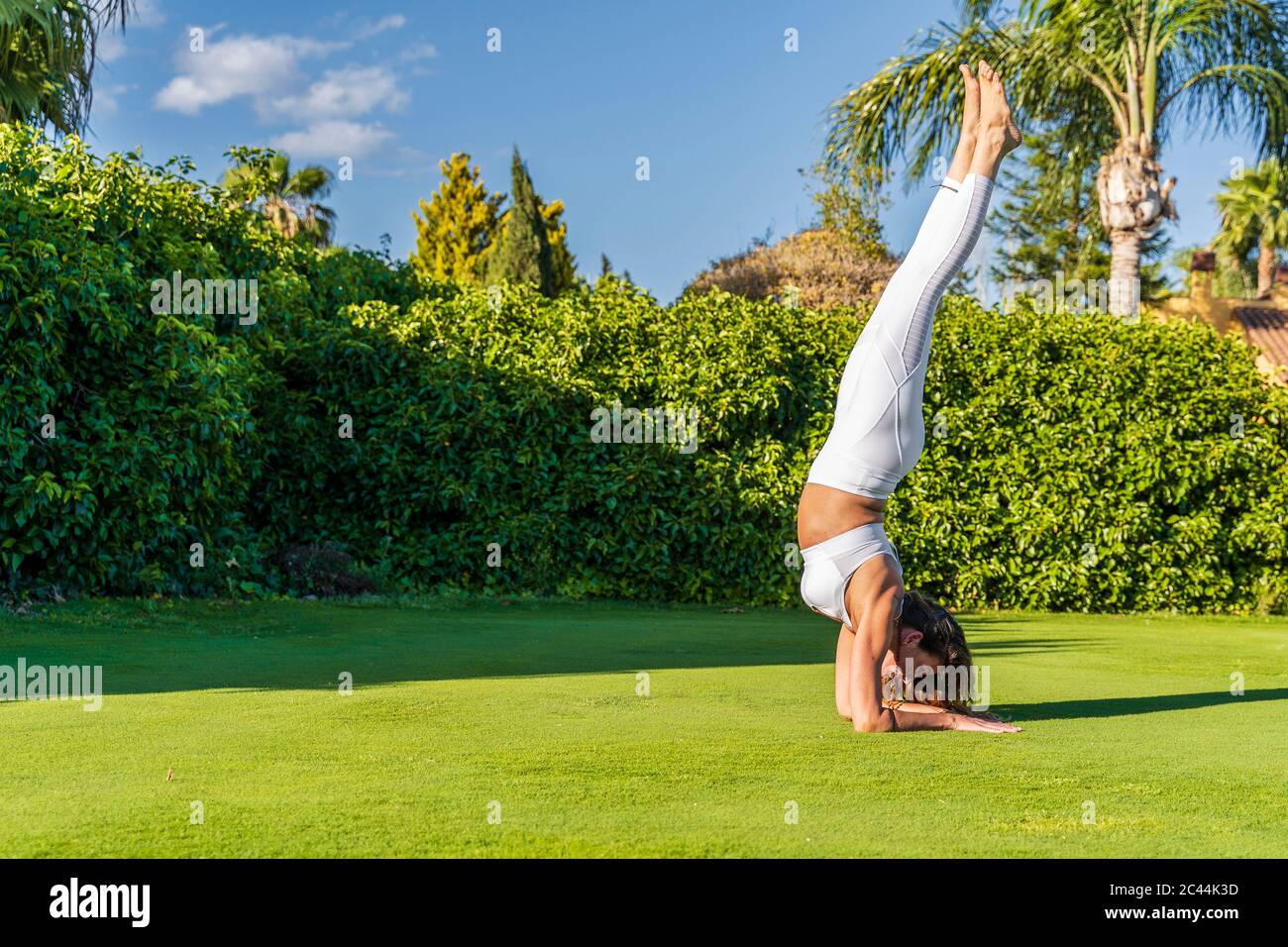 Frau, die Yoga auf Rasen bei Sonnenschein praktiziert, dabei einen Unterarmständer Stockfoto