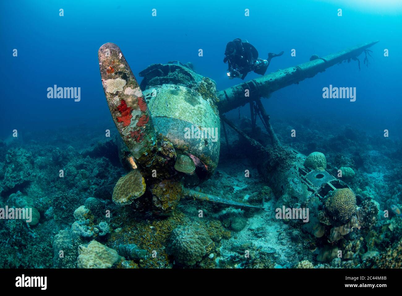 Palau, Taucher, die das japanische Flugzeugwrack Jake Seeflugzeug unter Wasser erkunden Stockfoto