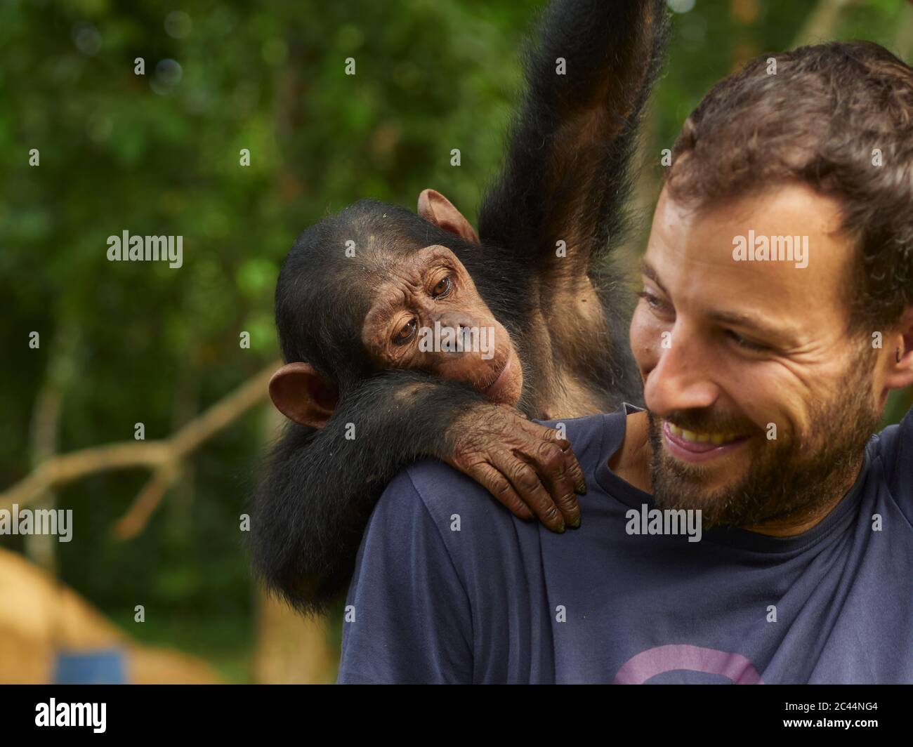 Kamerun, Ponysongo, lächelnder Mann mit Schimpansen (Pan troglodytes) auf dem Rücken Stockfoto