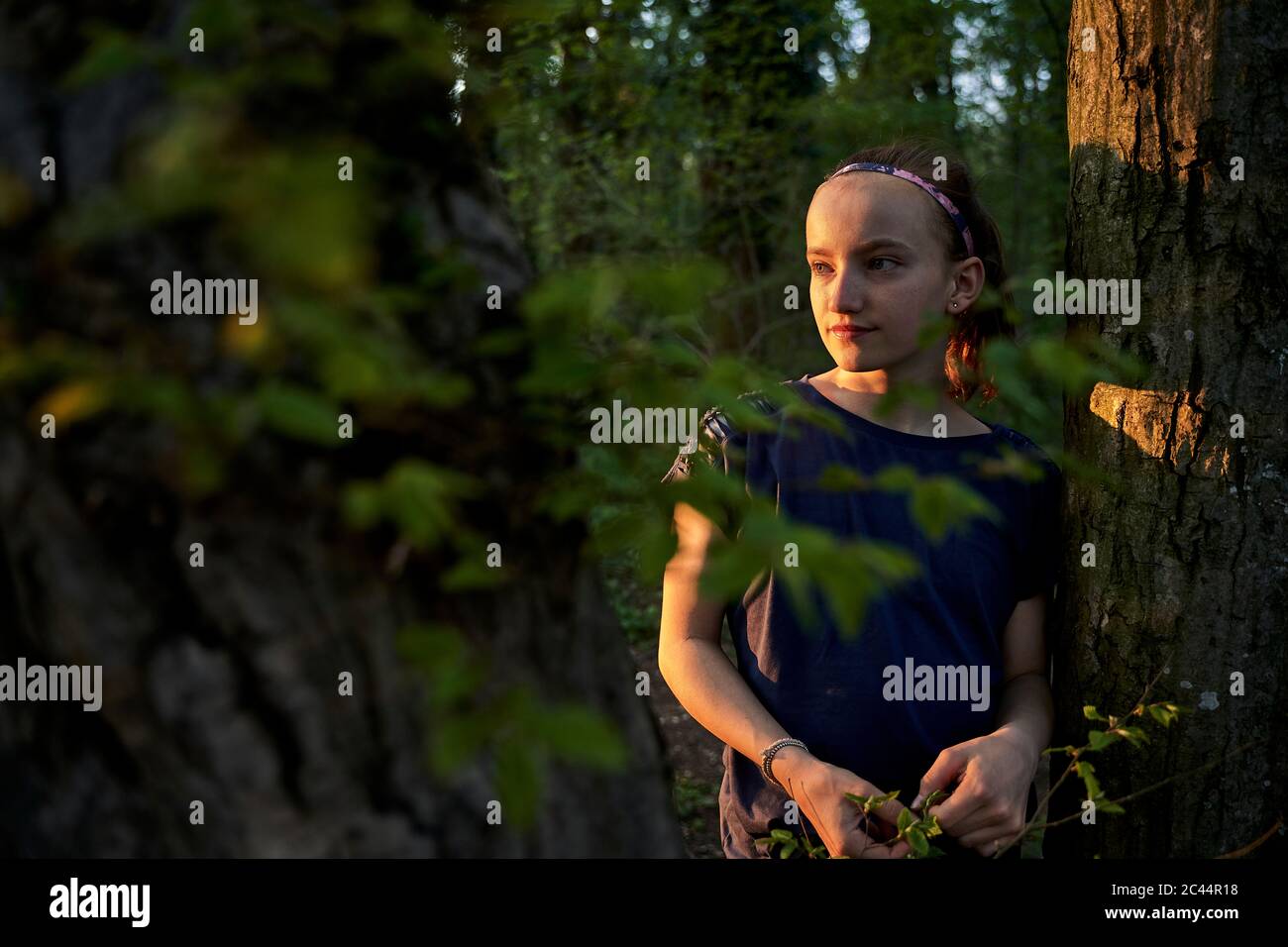 Mädchen stehen am Baumstamm, während sie im Wald wegschauen Stockfoto