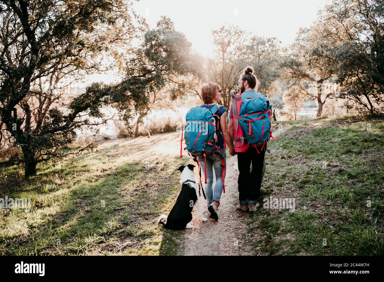 Paar mit Hund auf einer Wanderung Stockfoto