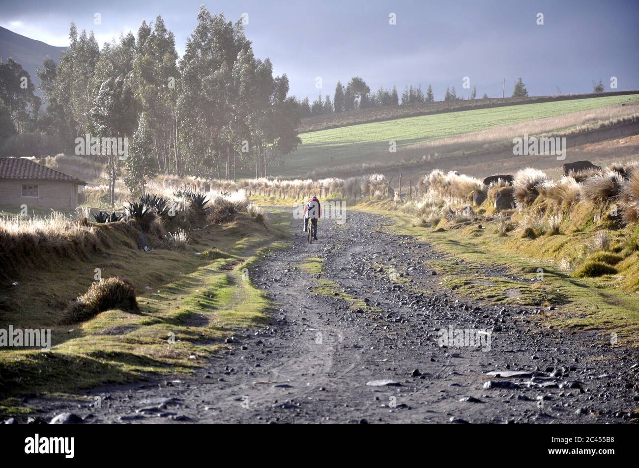 Landschaft nördlich von Quito, Ecuador Stockfoto