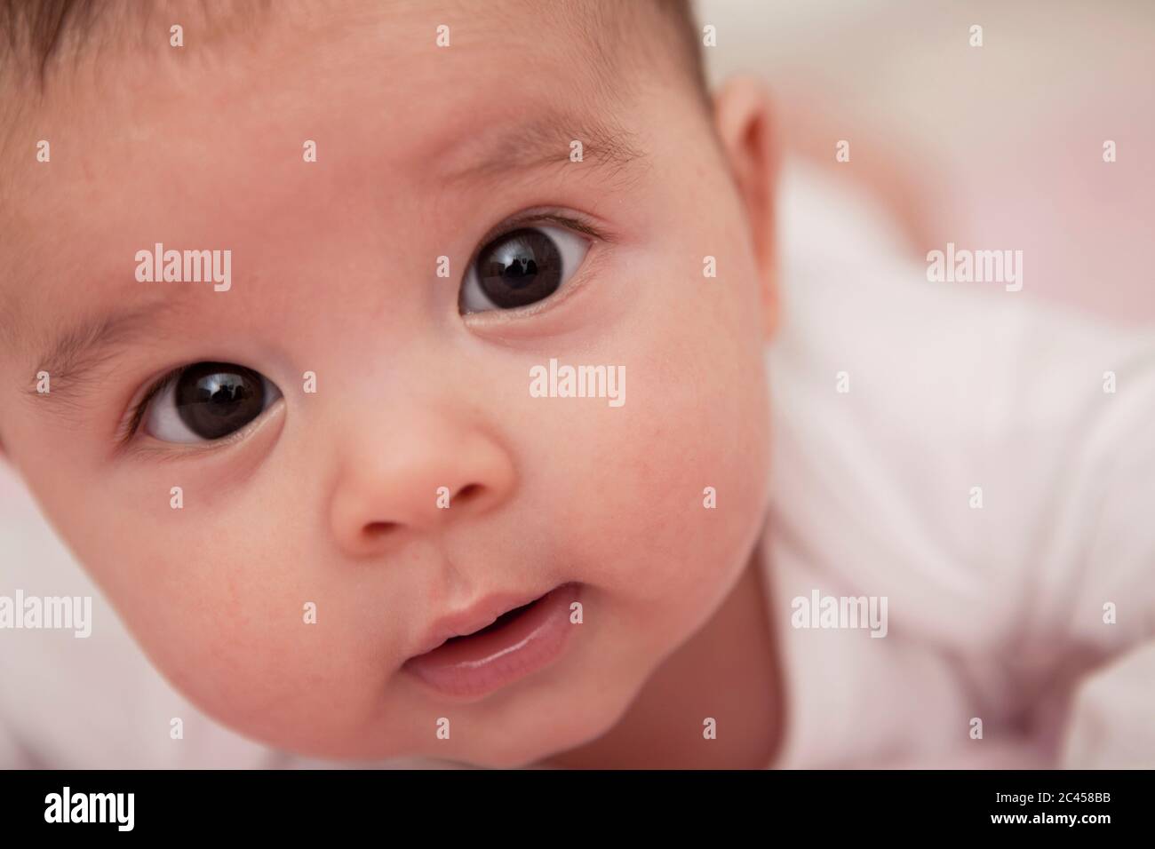Gesicht eines Babys, Porträt Stockfoto