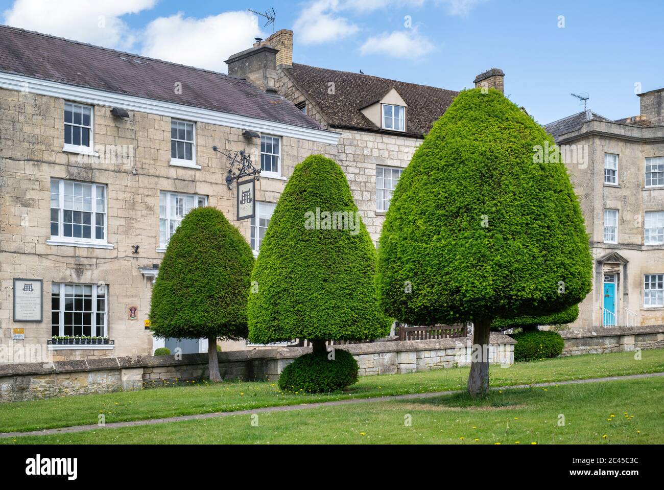 Eibe Bäume auf dem Gelände der St. Marys Kirche. Painswick, Clostwolds, Gloucestershire, England Stockfoto