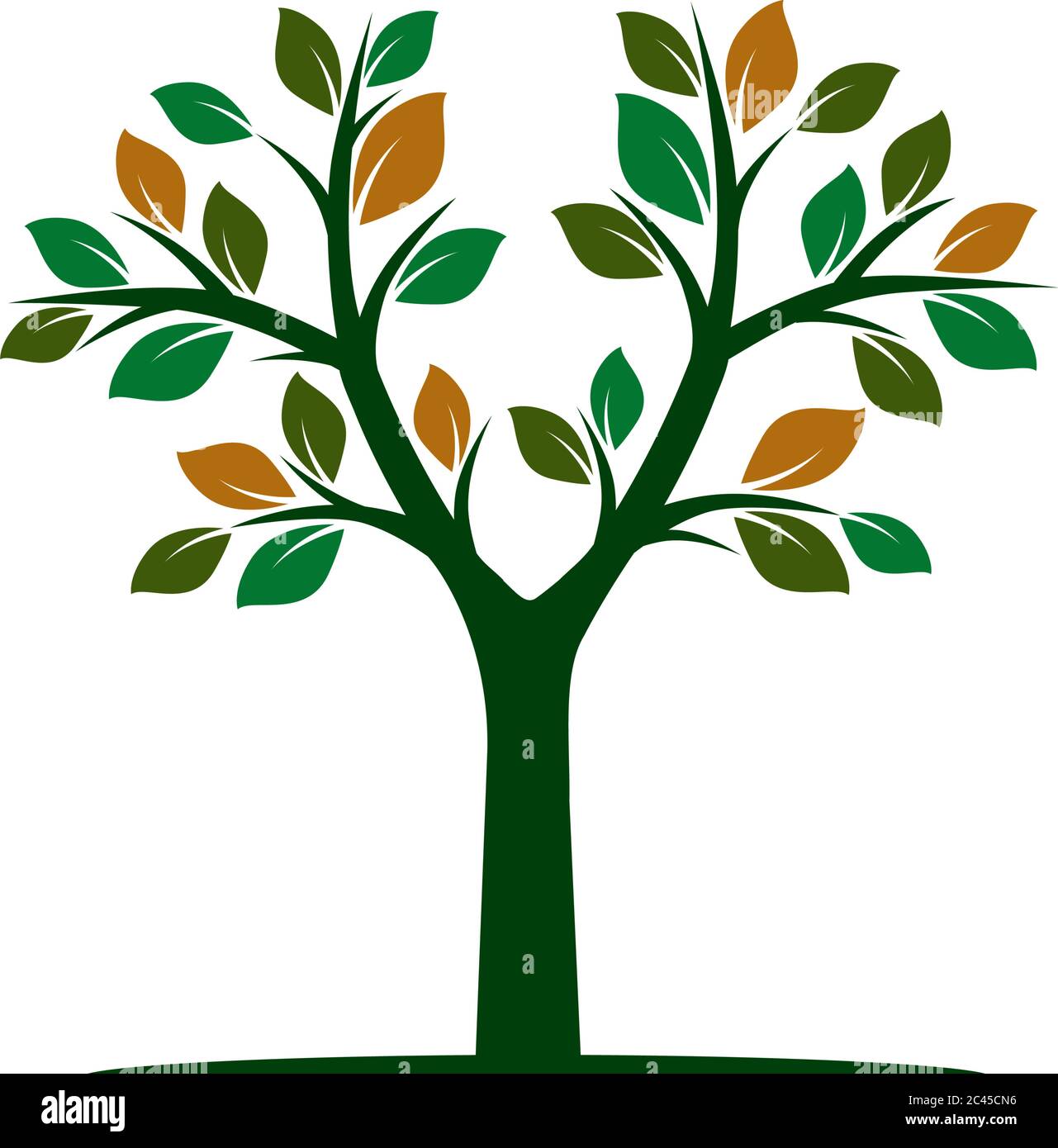Farbe Baum des Lebens mit Wurzeln. Vektorgrafik. Isoliertes Objekt. Stock Vektor