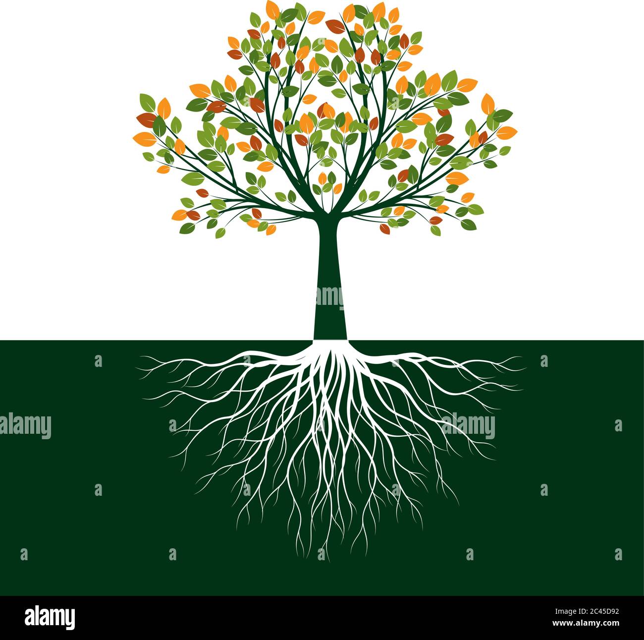 Farbe Baum des Lebens mit Wurzeln. Vektorgrafik. Isoliertes Objekt. Stock Vektor