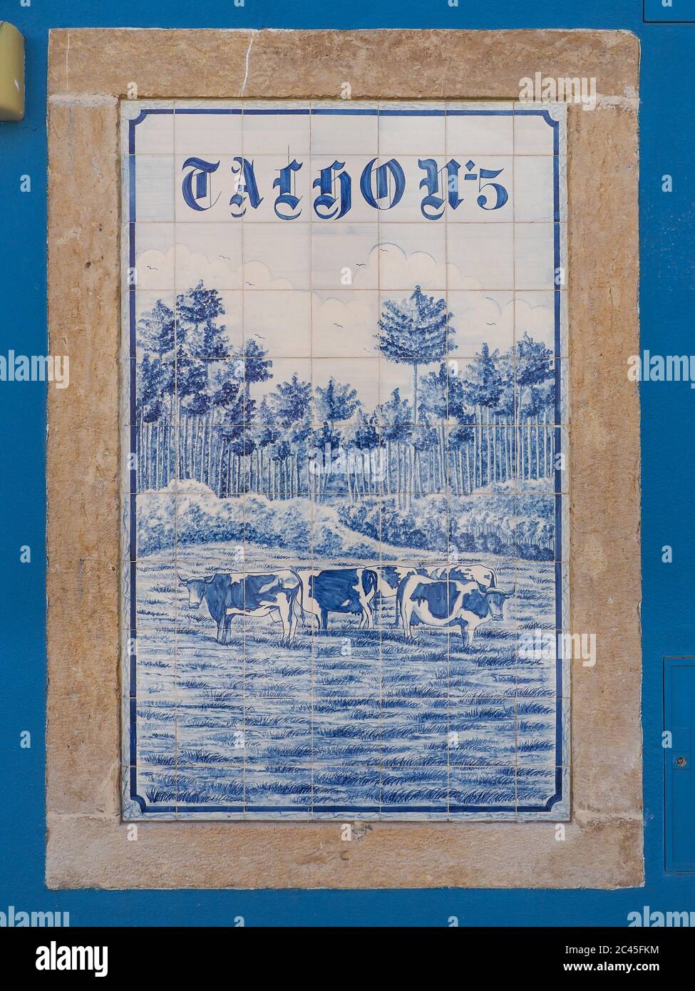 Fragment von bunten Gebäudewand, mit traditionellen portugiesischen, Keramik bemalten Fliesen, Azulejo. Weiß-blau-Ornamentmuster für Design oder Hintergrund. Stockfoto