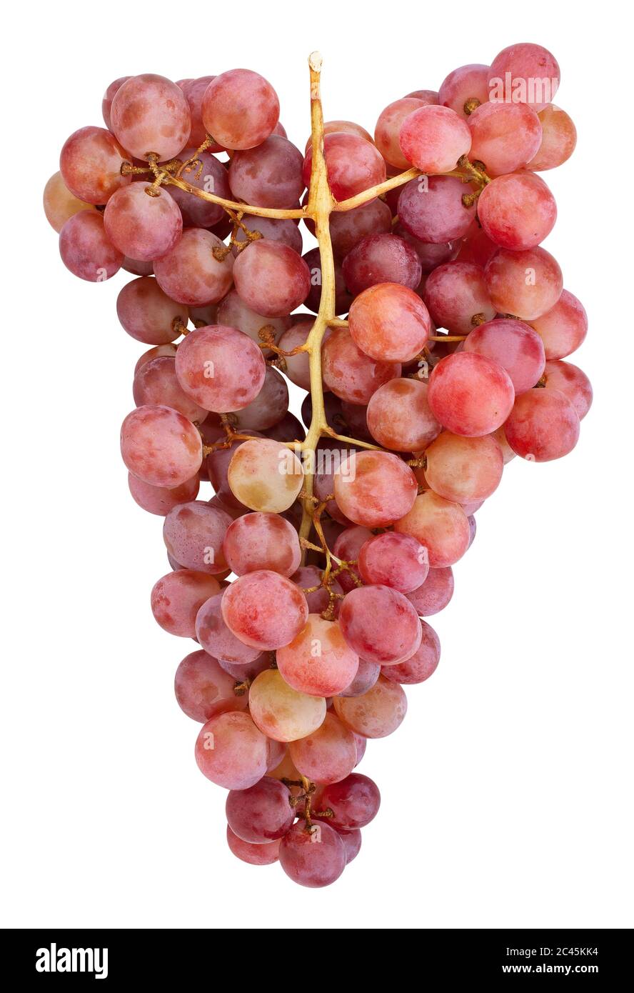 Pink grape Pfad isoliert auf weißem Stockfoto