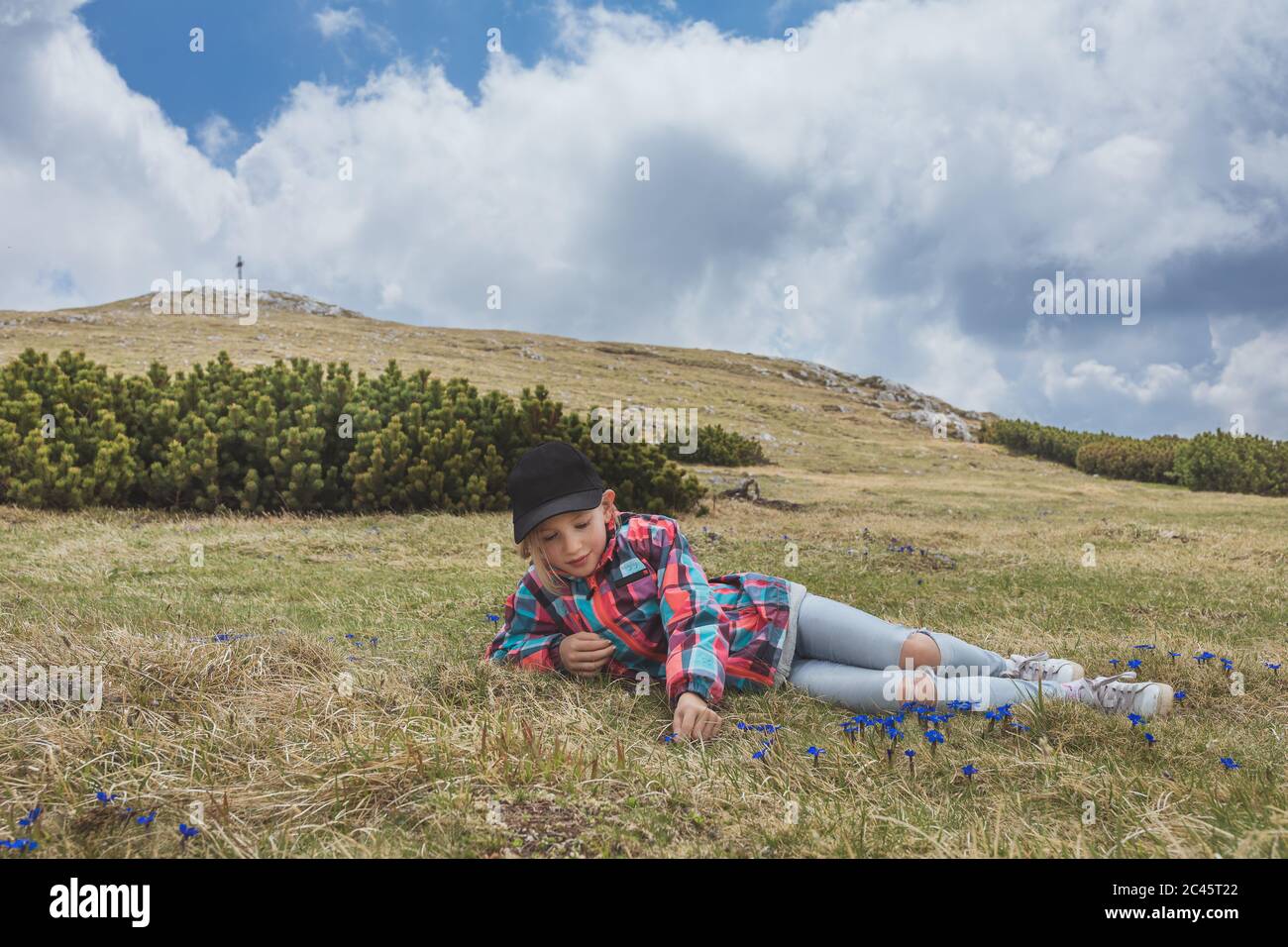 Junges Mädchen auf der Wiese liegend, die blauen Blasengentian in alpiner Bergumgebung pflückt Stockfoto