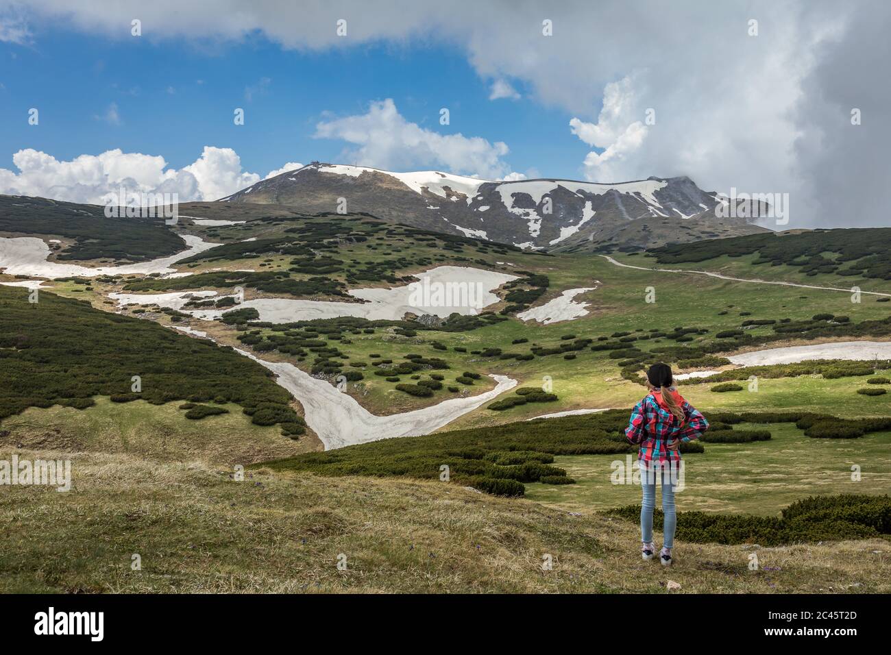 Junges Mädchen genießen Blick über Feld von Pinien in alpiner Berglandschaft auf Schneeberg in Lower Stockfoto