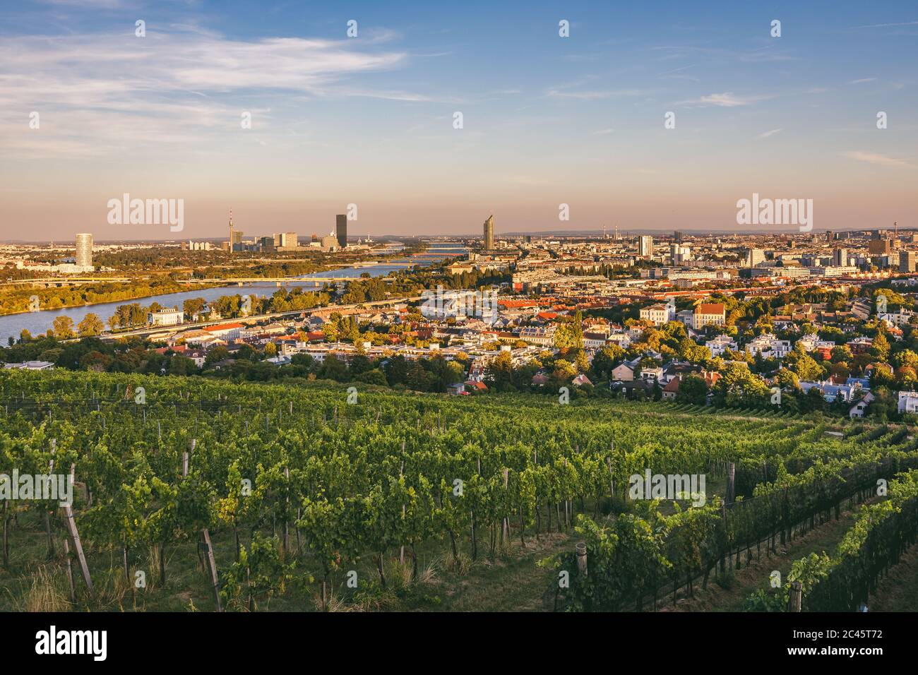 Blick von den Weinbergen auf Nussdorf und Donau mit VIC im Hintergrund Stockfoto
