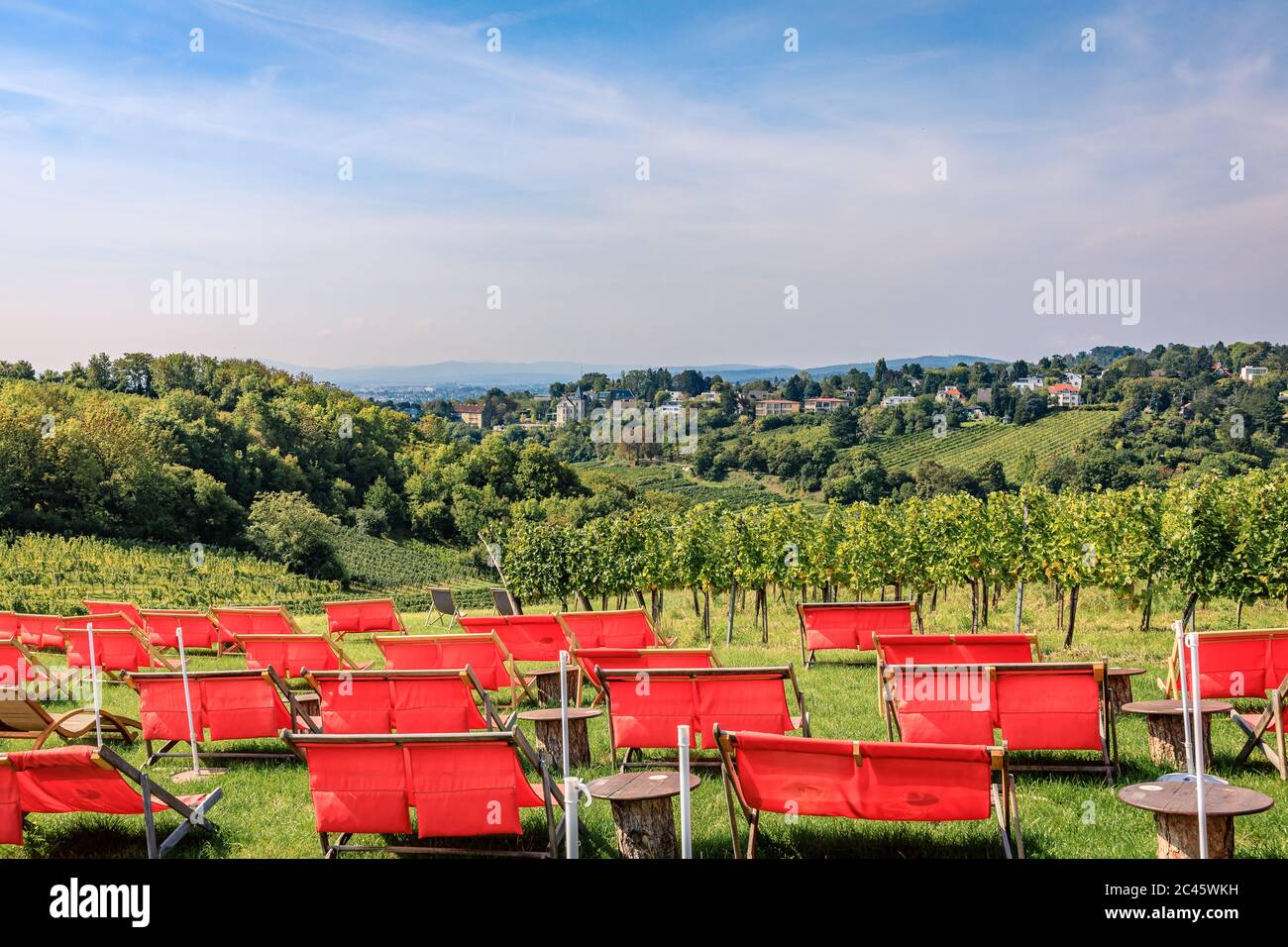 Rote Liegen im Vordergrund und Weinbergtal im Brackground Stockfoto