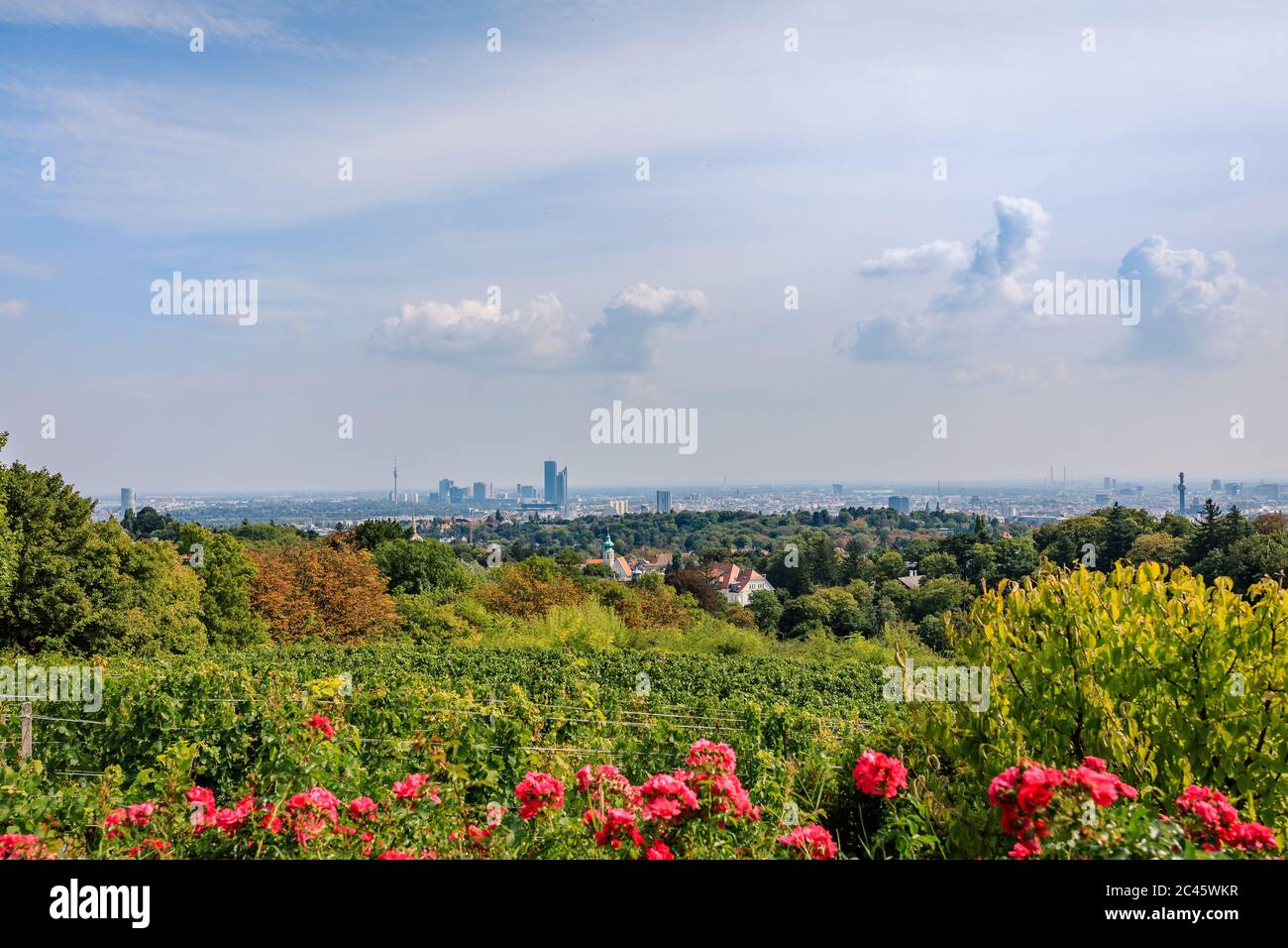Blick von Reisenberg über die Stadt Wien Stockfoto