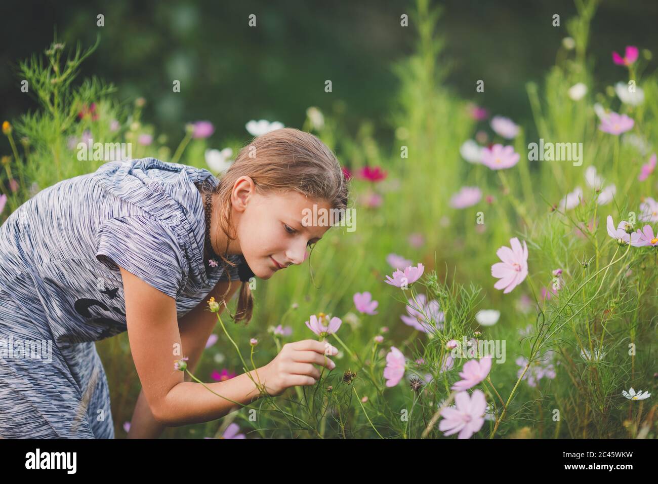 Junge Tween Mädchen riecht eine Blume in einer wilden Blumenwiese Stockfoto