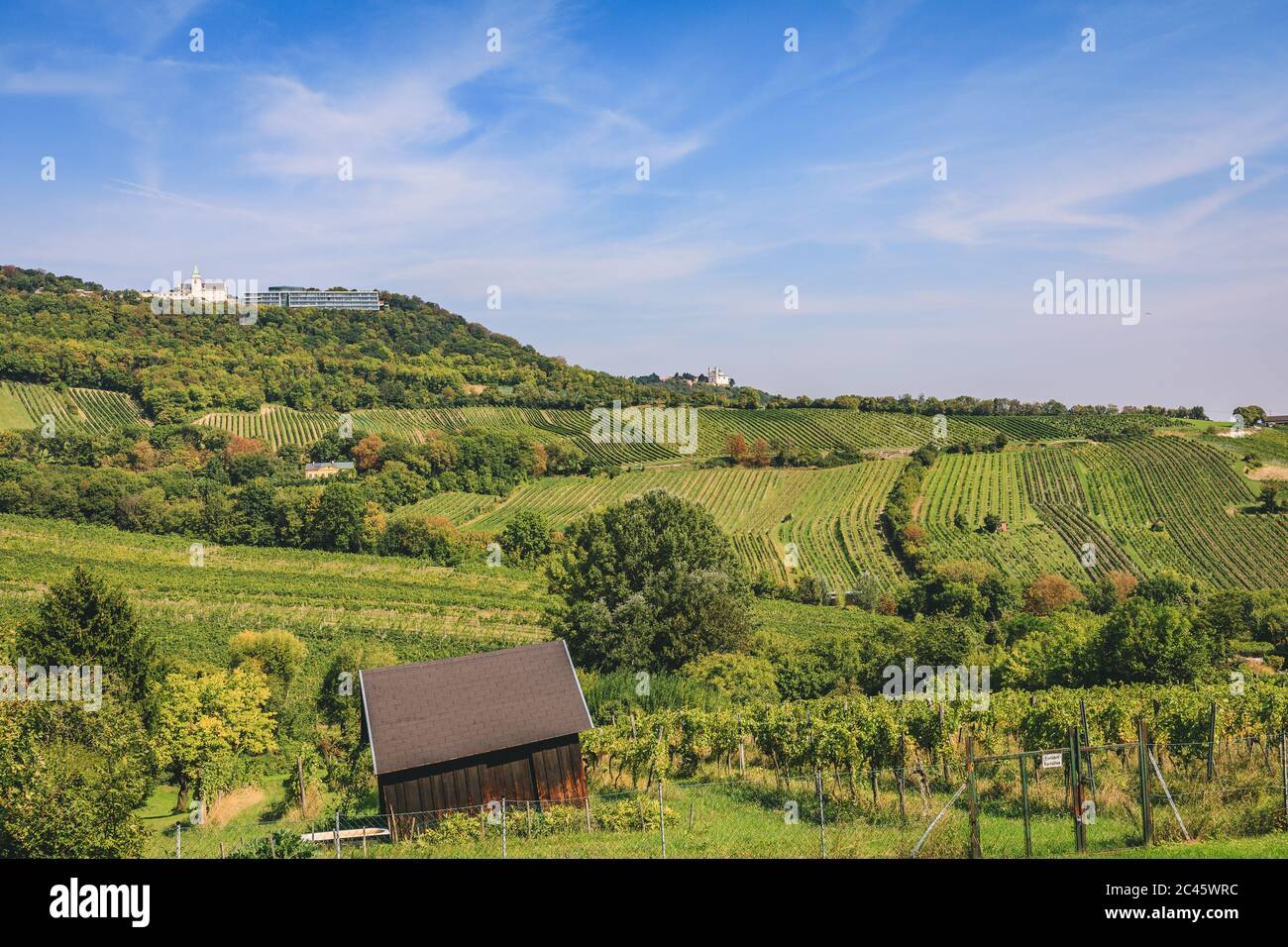 Blick über das Weinbergtal Richtung Kahlenberg und Leopldsberg Stockfoto