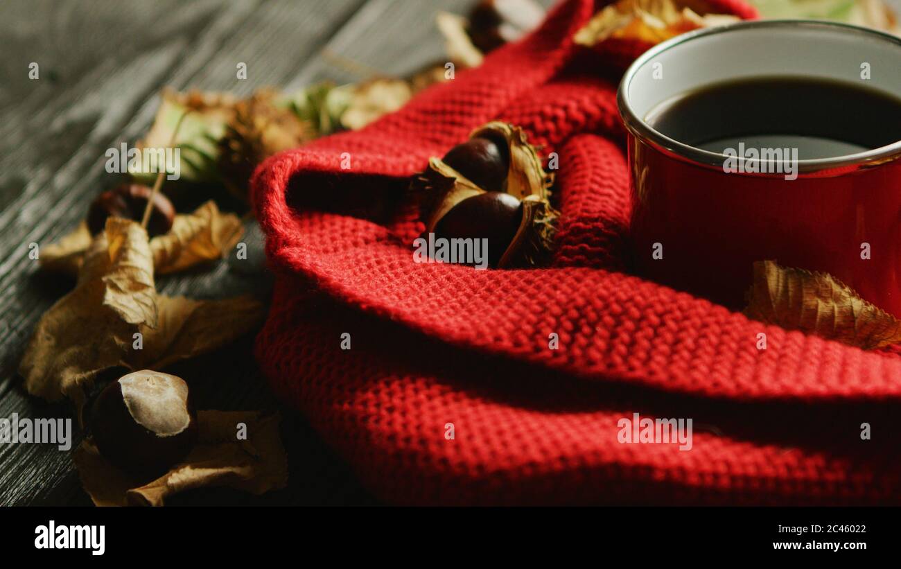 Blätter und die Muttern in der Nähe von Schal und heiße Getränke Stockfoto