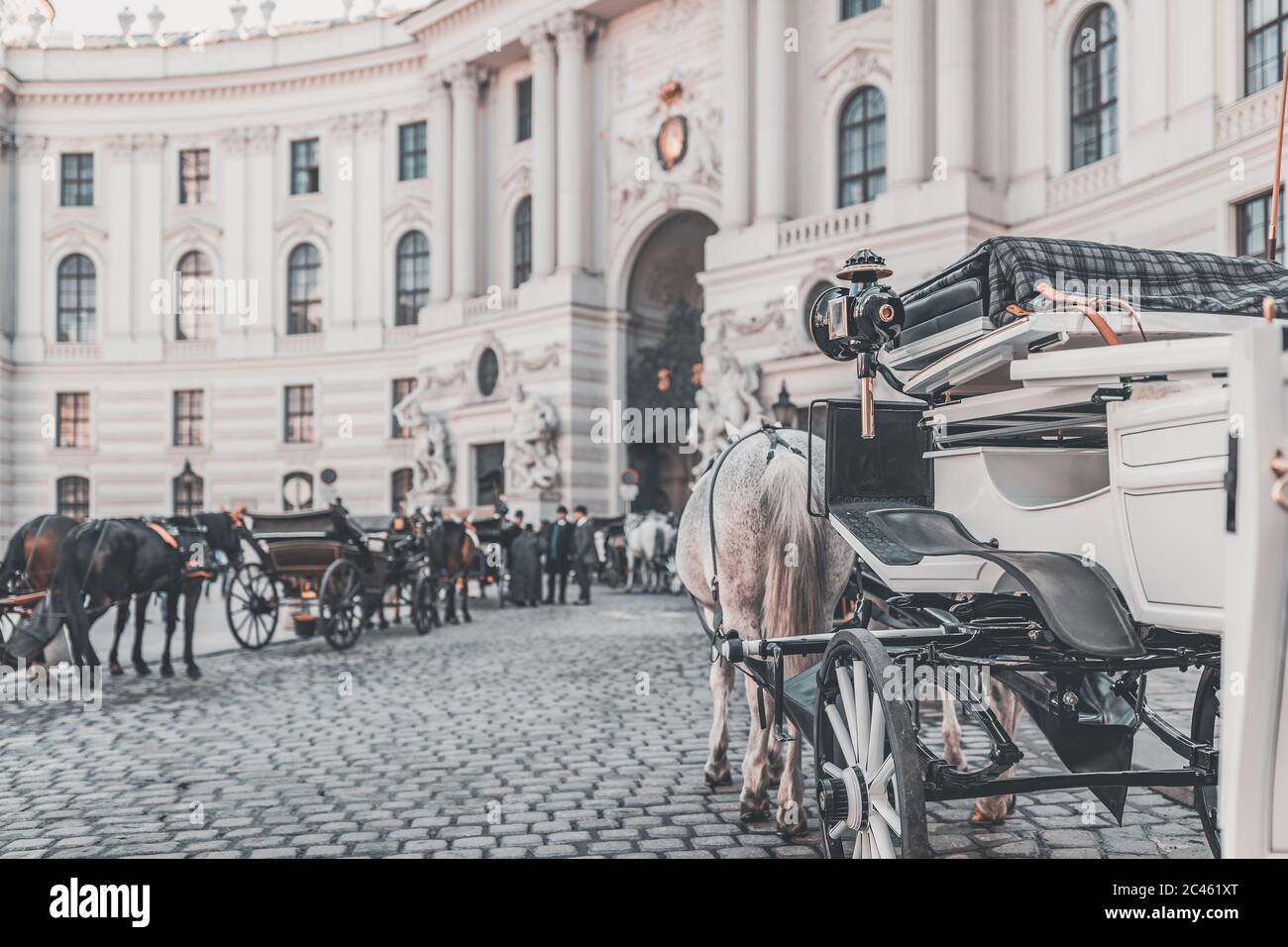 Vienna Fiaker, Pferdekutsche vor der Hofburg Stockfoto