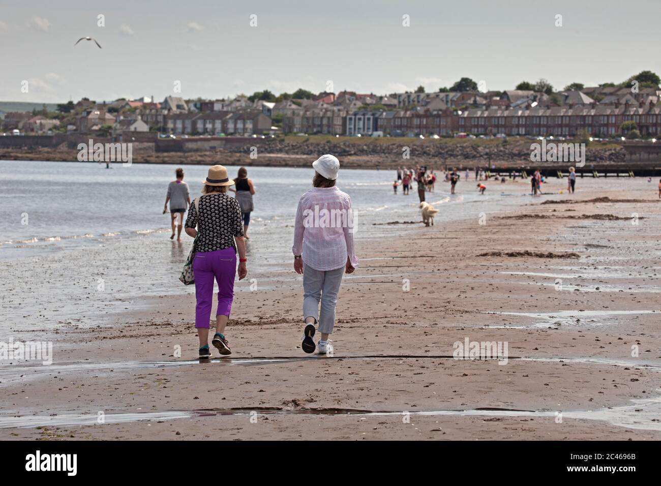 Portobello, Edinburgh, Schottland, Großbritannien. 24. Juni 2020. Das heiße Wetter brachte Familien raus, aber am Meer war nicht viel los, am Strand und an der Promenade gab es viel Platz, um sich in sozialer Distanz zu halten. Leute auf verschiedenen Paddelbrettern und Schlauchboote und andere mit Picknicks am Sandstrand. Stockfoto