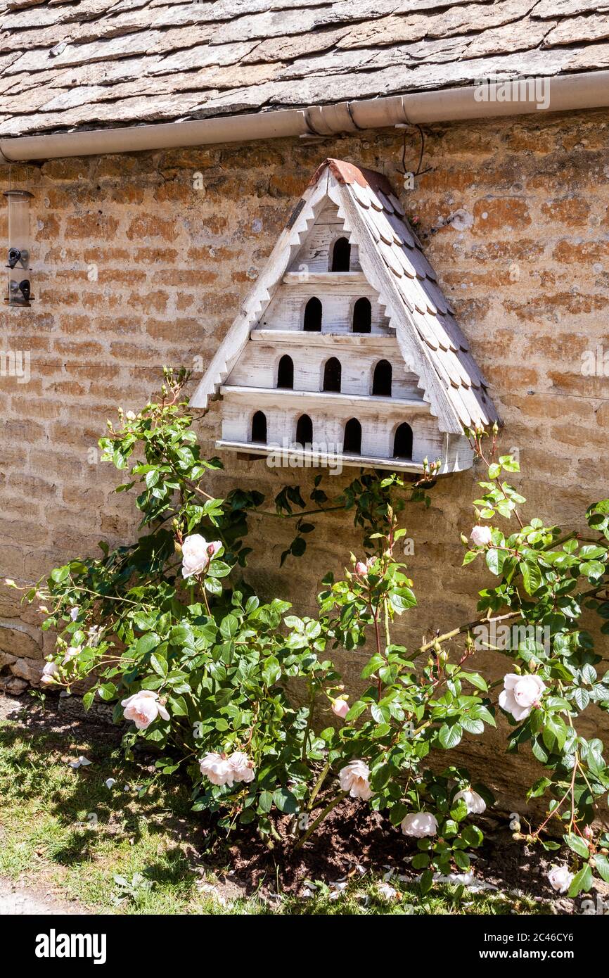 Eine Miniatur-Taube im Coln Valley im Cotswold-Dorf Winson, Gloucestershire, Großbritannien Stockfoto