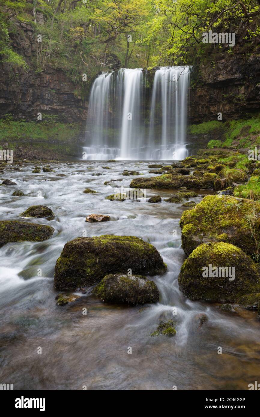 Sgwd yr Eira Wasserfall, Ystradfellte, Brecon Beacons National Park, Powys, Wales, Vereinigtes Königreich, Europa Stockfoto
