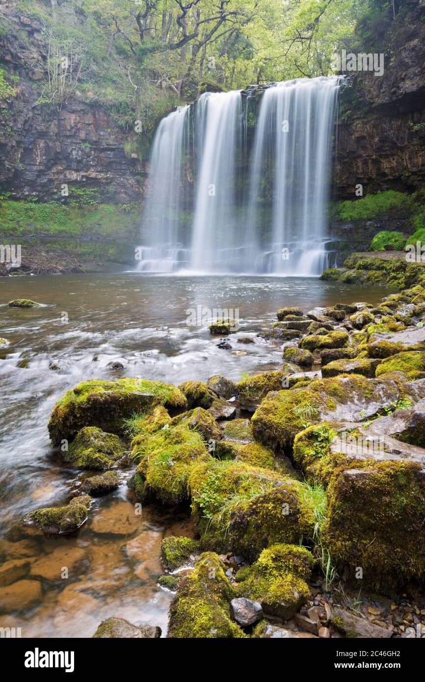 Sgwd yr Eira Wasserfall, Ystradfellte, Brecon Beacons National Park, Powys, Wales, Vereinigtes Königreich, Europa Stockfoto