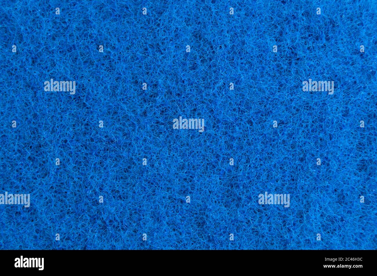 Eine Nahaufnahme EINES hellblauen Scheuerschwasters Stockfoto