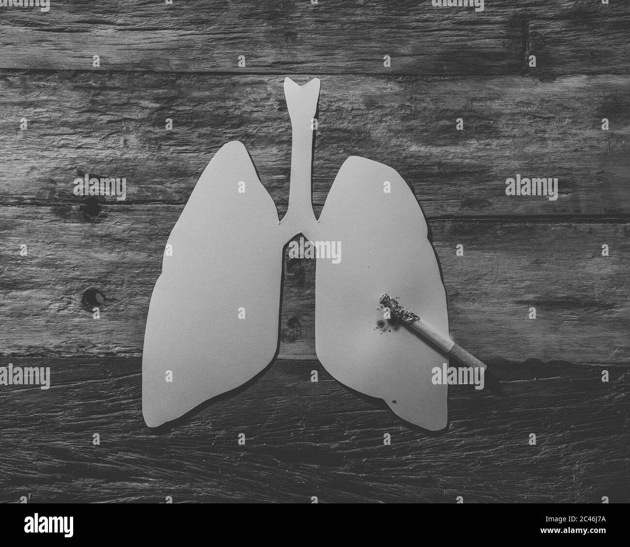 Konzeptuelles Bild von Zigarettenbrand auf Papier Lunge isoliert auf rustikalem Hintergrund. Werbeart Tabak und Lungenkrebs, Medizinische Warnung, sto Stockfoto