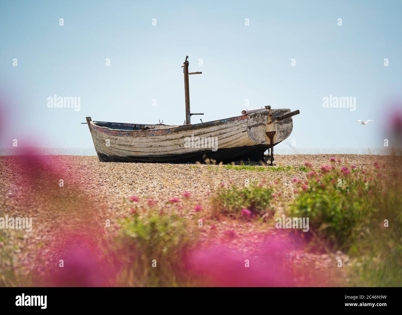 Verlassene Fischerboot am Aldeburgh Beach mit Blumen im Vordergrund. Aldeburgh, Suffolk. GROSSBRITANNIEN Stockfoto