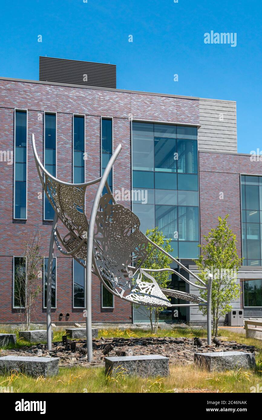 DULUTH, MN/USA - 19. JUNI 2020: Heikkila Chemie und Advanced Materials Science Gebäude auf dem Campus der University of Minnesota-Duluth. Stockfoto