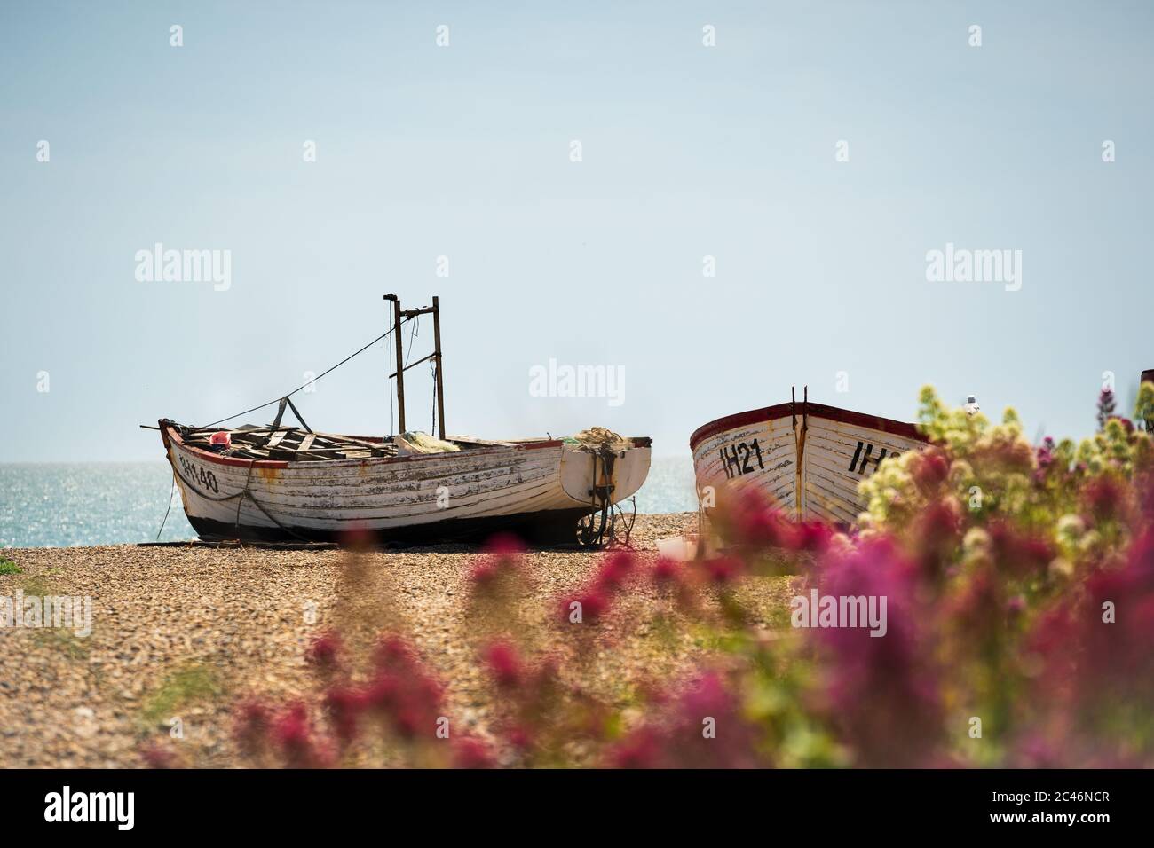 Verlassene Fischerboote am Aldeburgh Beach mit Blumen im Vordergrund. Aldeburgh, Suffolk. GROSSBRITANNIEN Stockfoto