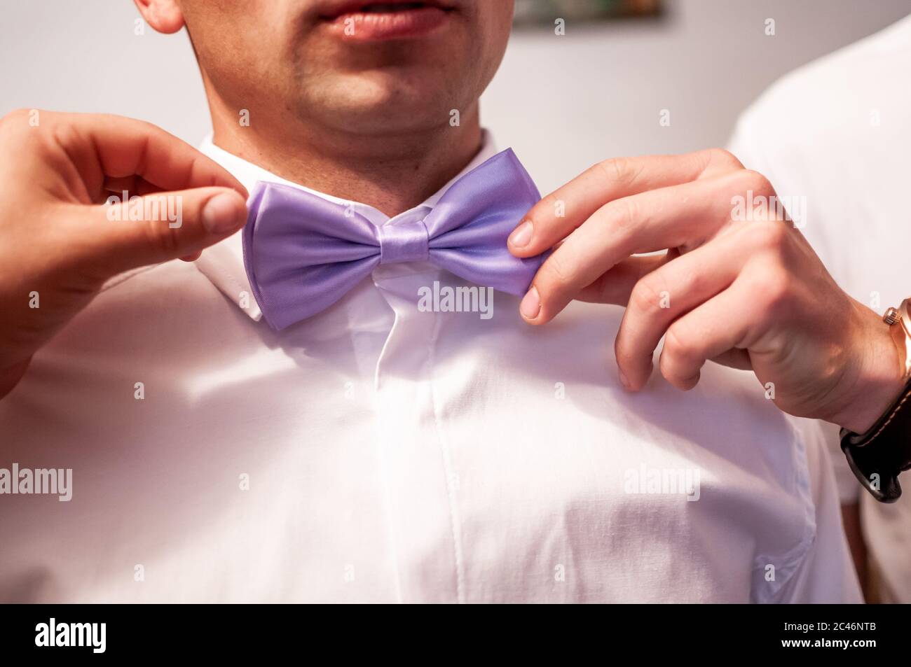 Violette Fliege am Hals des Grooms Stockfoto