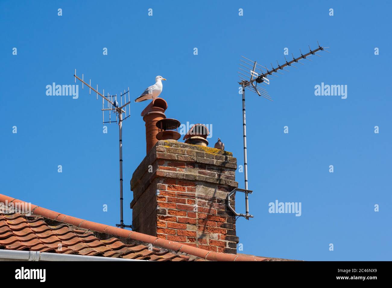 Fernsehantennen auf einem Kamin gegen einen blauen Himmel. Aldeburgh, Suffolk. GROSSBRITANNIEN Stockfoto