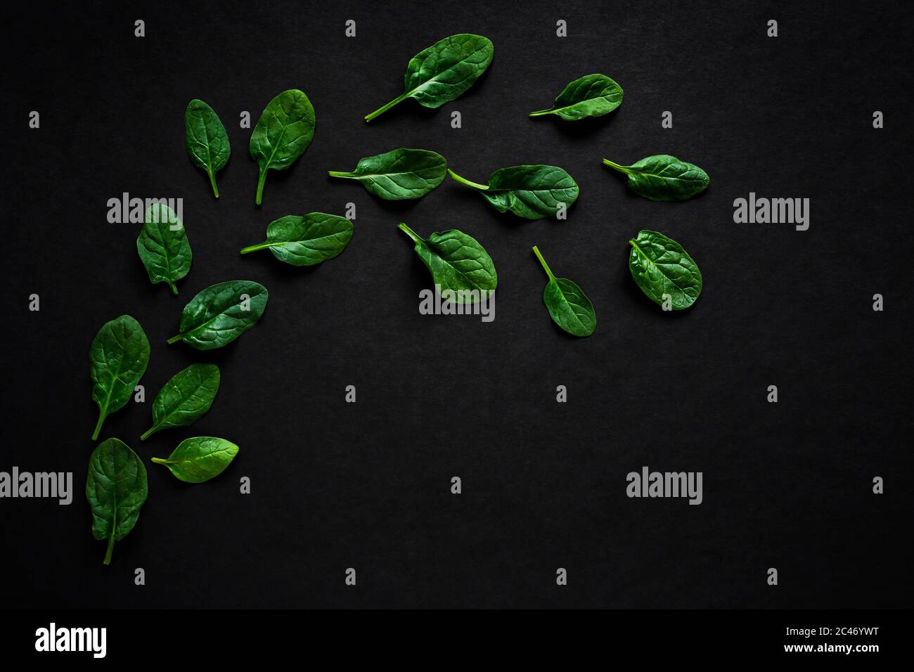Spinat Blätter auf schwarzem Hintergrund mit einem freien Platz für die Kopie, Ansicht horizontal Foto von oben Stockfoto