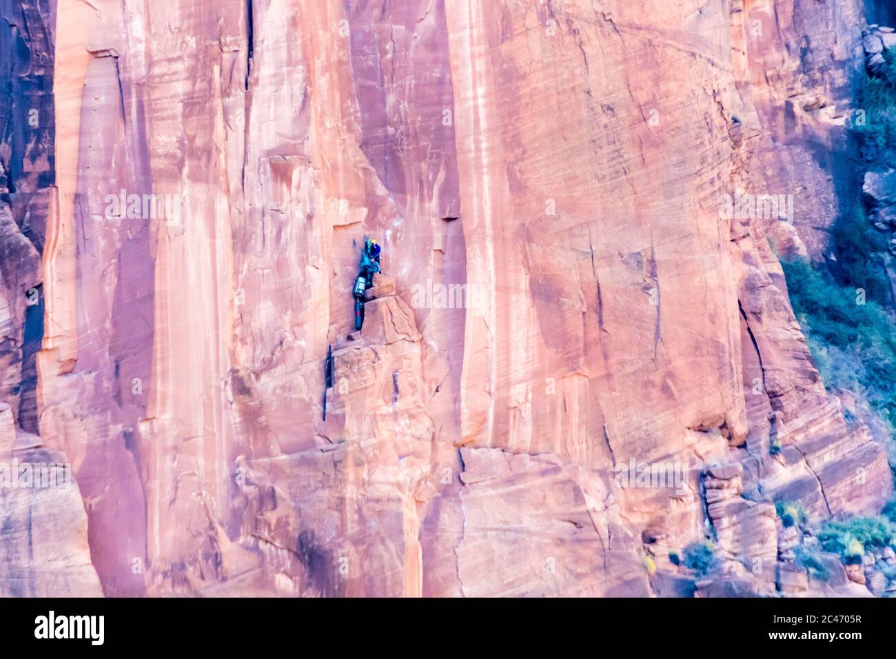Felskletterer im Zion National Park, Utah, Vereinigte Staaten von Amerika Stockfoto