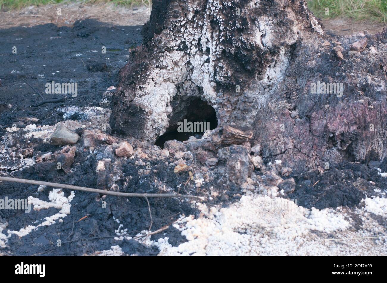 Schlammvulkan Starunya und weiße kristalline Ablagerungen im Sumpf Stockfoto