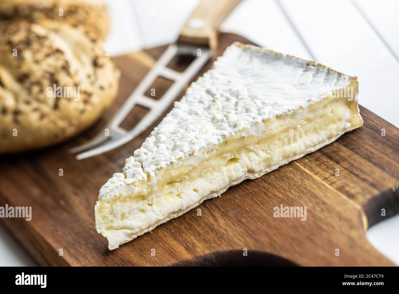 Weißer schimmel -Fotos und -Bildmaterial in hoher Auflösung – Alamy