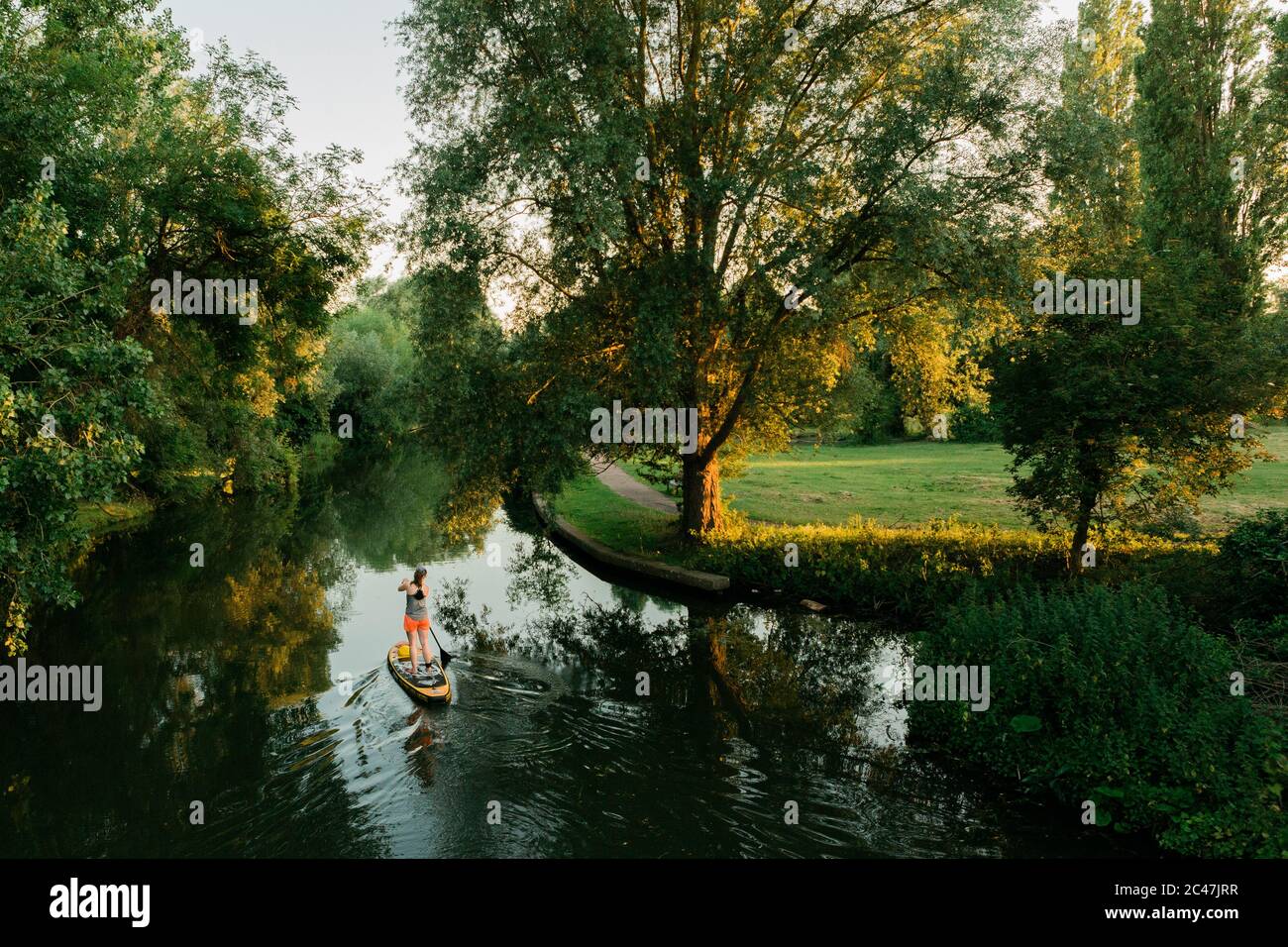 Ein Stand Up Paddle Boarder paddelt an einem heißen Sommerabend entlang des River Cam, Cambridge. Stockfoto