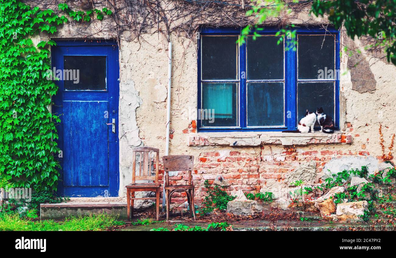 Zwei Katzen sitzen vor einem alten armen Haus in einem einsamen Dorf. Stockfoto