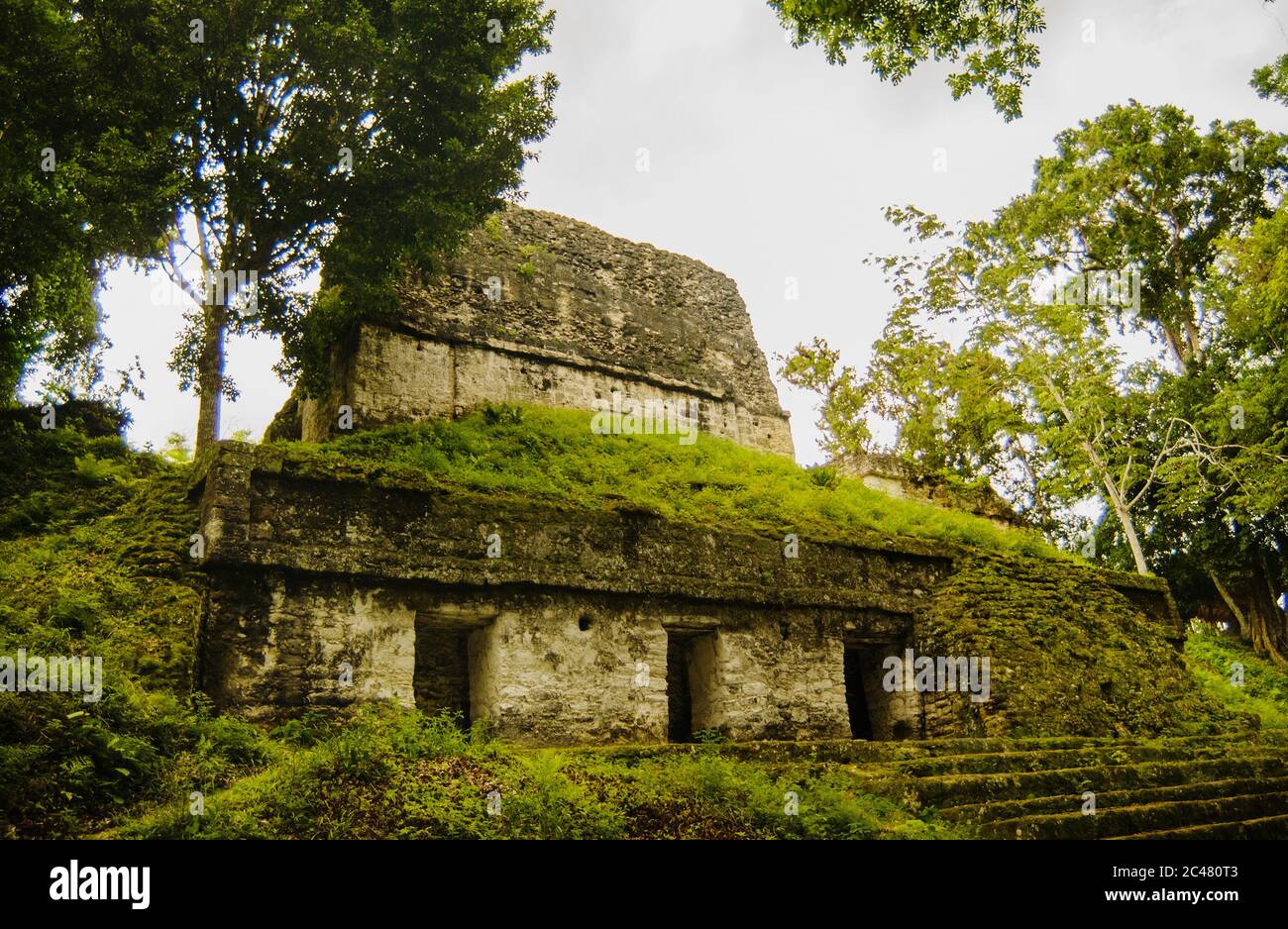 Maya-Ruinen im Tikal Nationalpark, Guatemala, Mittelamerika Stockfoto