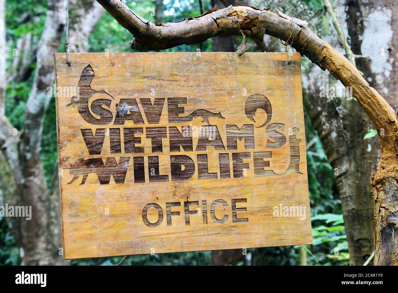 Cúc Phương National Park Vietnam 22. Oktober 2018: Das Schild von Save Vietnams Wildlife Office. Stockfoto