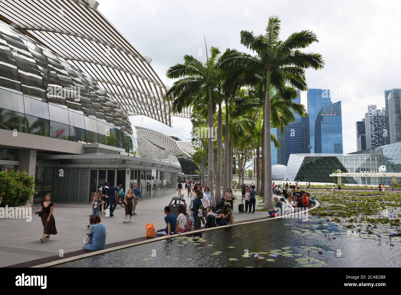 Marina Bay Fußgängerzone in der Nähe von Geschäften, Kunstmuseum und umgeben von Wasserflächen mit Seerosen in Singapur, Asien Stockfoto