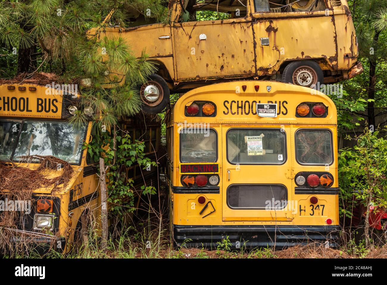 Gestapelte Busse auf dem Schulbus Friedhof in Alto, Georgia. (USA) Stockfoto