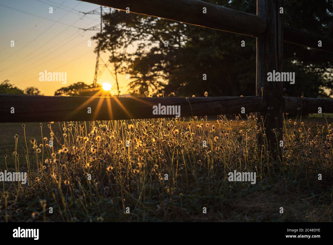 Sonnenstrahlen durch Holzzaun Stockfoto