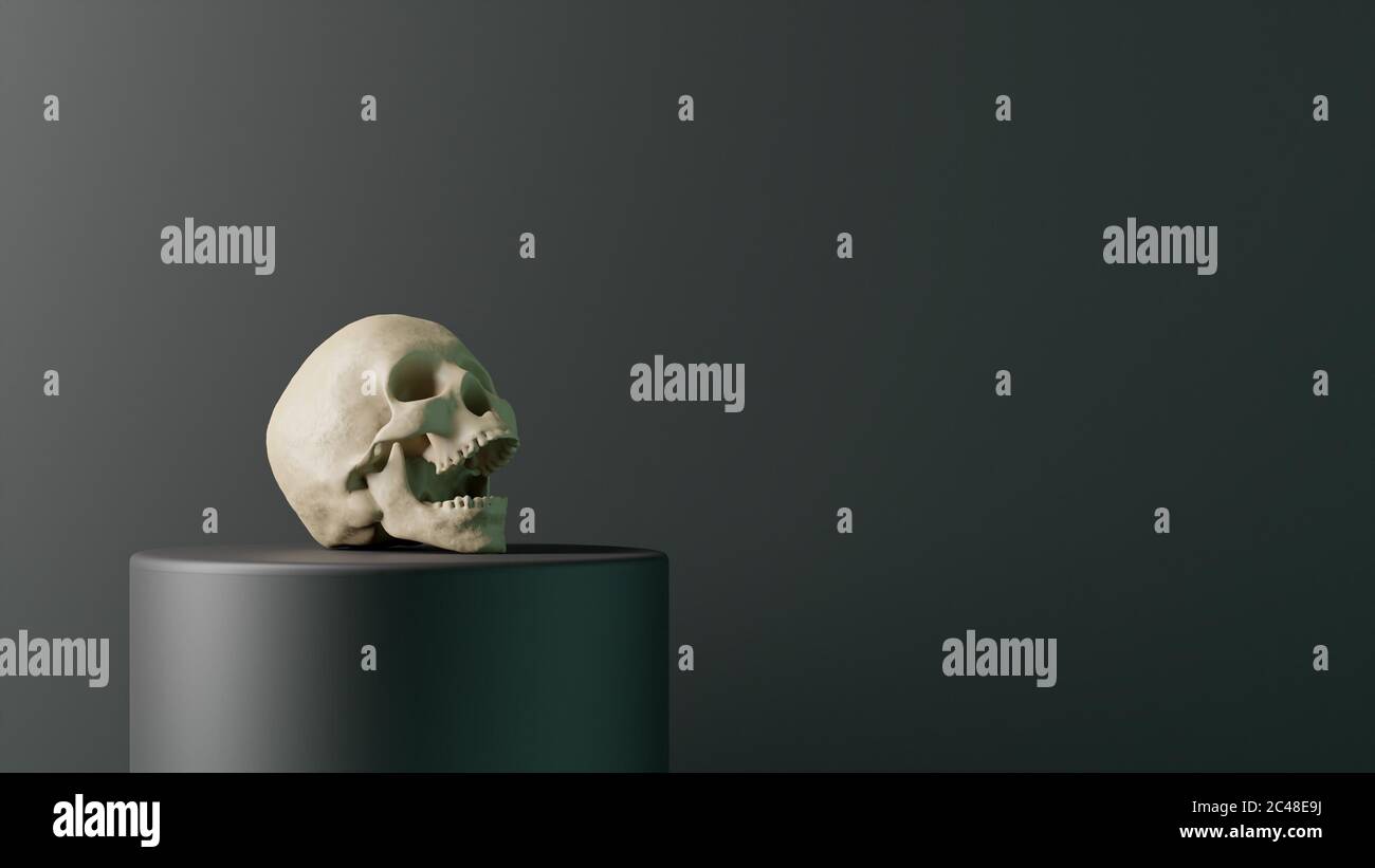 3d menschlicher Schädel auf Sockel in dunkler Umgebung, 3d-Illustration Stockfoto