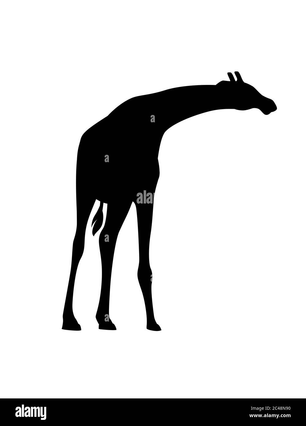 Schwarze Silhouette reife Giraffe afrikanischen Tier mit langen Hals Cartoon Tier Design flache Vektor Illustration isoliert auf weißem Hintergrund Stock Vektor