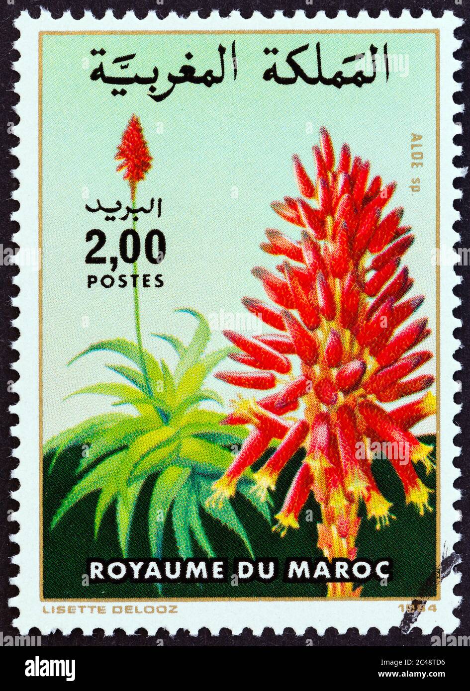 MAROKKO - UM 1984: Eine in Marokko gedruckte Marke aus der 'Blumen'-Ausgabe zeigt Aloe sp., um 1984. Stockfoto