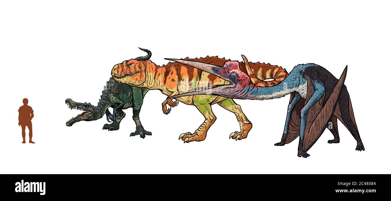 Set mit 3 Dinosauriern. Vergleich zwischen Dinosauriern und Menschen. Baryonyx, Quetzalcoatlus, Giganotosaurus. Stockfoto