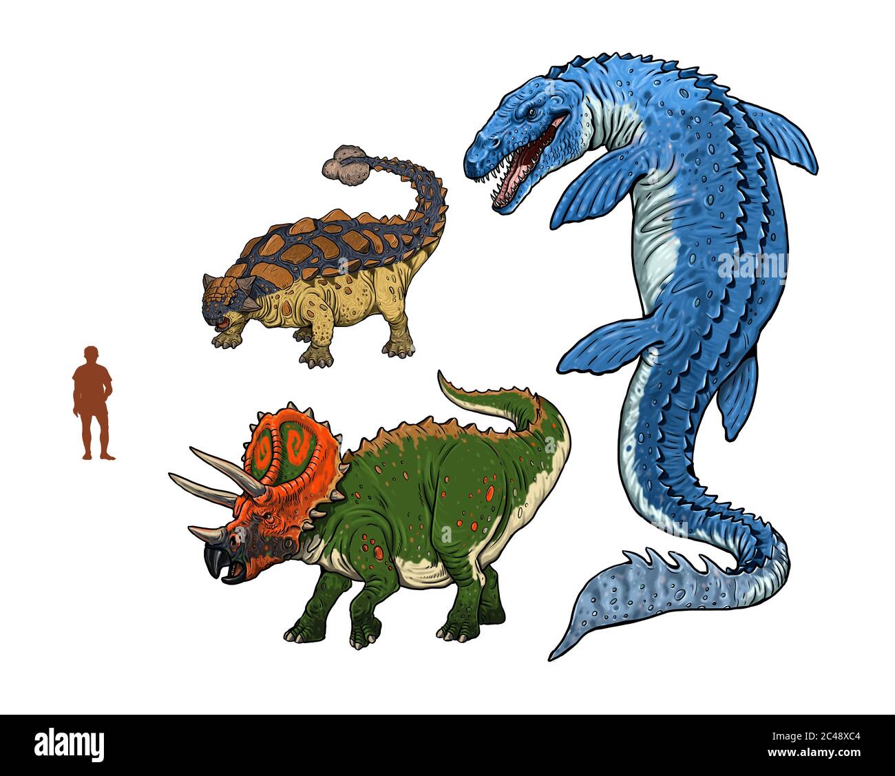 Set mit 3 Dinosauriern. Vergleich zwischen Dinosauriern und Menschen. Mosasaurus, Ankylosaurus, Triceratops. Stockfoto
