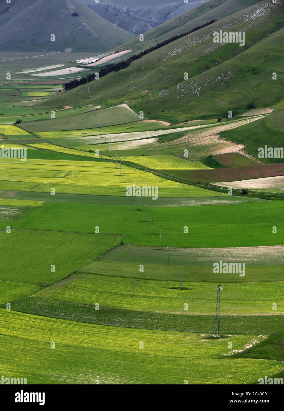 Blick auf den Pian Grande di Castelluccio di Norcia und seine Blüte Stockfoto